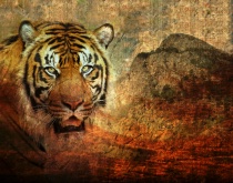 February 2017 Photo Contest 2nd Place Prize Winner