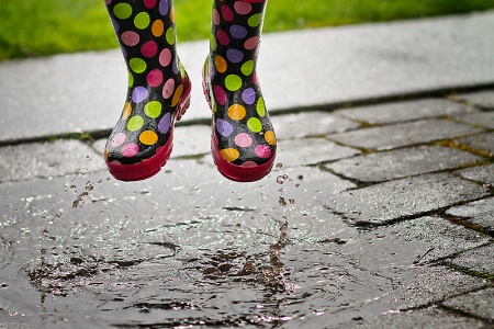 March 2015 Photo Contest 1st Place Prize Winner