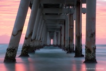 March 2015 Photo Contest 2nd Place Prize Winner