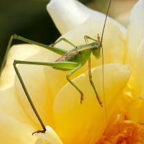 June 2015 Photo Contest 2nd Place Prize Winner