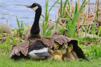 May 2015 Photo Contest 2nd Place Prize Winner