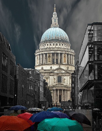 June 2015 Photo Contest 1st Place Prize Winner
