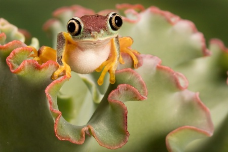 October 2015 Photo Contest 1st Place Prize Winner