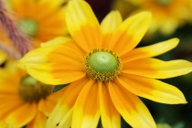 September 2015 Photo Contest 2nd Place Prize Winner