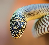 September 2015 Photo Contest 2nd Place Prize Winner