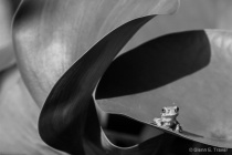 September 2015 Photo Contest 2nd Place Prize Winner