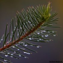 September 2015 Photo Contest 2nd Place Prize Winner