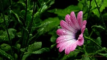 September 2015 Photo Contest 2nd Place Prize Winner