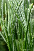 September 2015 Photo Contest 2nd Place Prize Winner