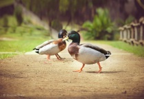 September 2015 Photo Contest 2nd Place Prize Winner
