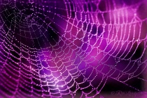September 2015 Photo Contest 2nd Place Prize Winner