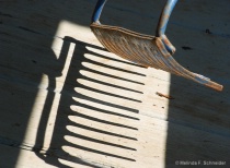 September 2015 Photo Contest 2nd Place Prize Winner