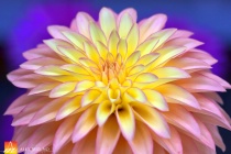 September 2015 Photo Contest 2nd Place Prize Winner