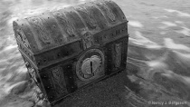 September 2015 Photo Contest 2nd Place Prize Winner