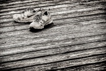 September 2015 Photo Contest 2nd Place Prize Winner