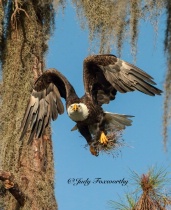 September 2015 Photo Contest 2nd Place Prize Winner