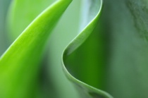 September 2015 Photo Contest 2nd Place Prize Winner