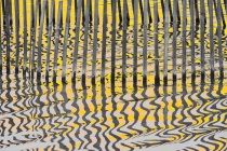 September 2015 Photo Contest 2nd Place Prize Winner