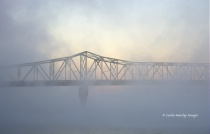August 2016 Photo Contest 2nd Place Prize Winner