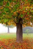 October 2015 Photo Contest 2nd Place Prize Winner