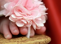 November 2015 Photo Contest 2nd Place Prize Winner