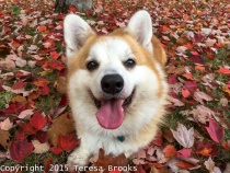 November 2015 Photo Contest 2nd Place Prize Winner