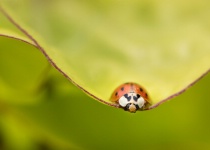 November 2015 Photo Contest 2nd Place Prize Winner
