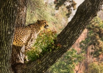 November 2015 Photo Contest 2nd Place Prize Winner