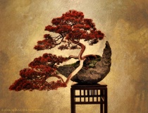 December 2015 Photo Contest 2nd Place Prize Winner
