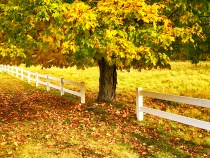 December 2017 Photo Contest 2nd Place Prize Winner