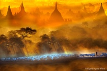 December 2015 Photo Contest 2nd Place Prize Winner