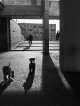 December 2015 Photo Contest 2nd Place Prize Winner