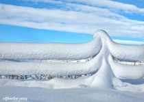 December 2015 Photo Contest 2nd Place Prize Winner