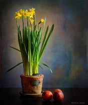 March 2016 Photo Contest 2nd Place Prize Winner
