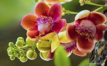 March 2016 Photo Contest 2nd Place Prize Winner