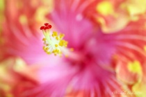 May 2016 Photo Contest 2nd Place Prize Winner