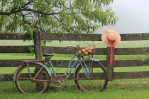 June 2016 Photo Contest 2nd Place Prize Winner