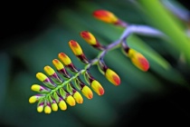 December 2016 Photo Contest 2nd Place Prize Winner