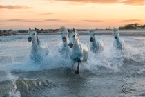 July 2016 Photo Contest 2nd Place Prize Winner