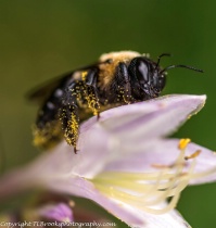 August 2016 Photo Contest 2nd Place Prize Winner