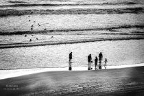 August 2016 Photo Contest 2nd Place Prize Winner