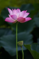 August 2016 Photo Contest 2nd Place Prize Winner