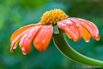 August 2016 Photo Contest 2nd Place Prize Winner