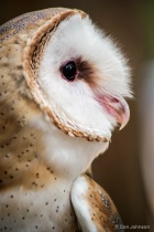 August 2016 Photo Contest 2nd Place Prize Winner