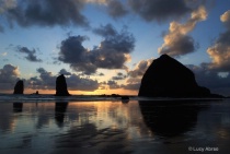 August 2016 Photo Contest 2nd Place Prize Winner
