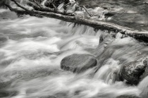 August 2016 Photo Contest 2nd Place Prize Winner