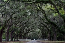 February 2017 Photo Contest 2nd Place Prize Winner