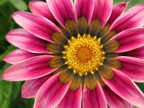 October 2016 Photo Contest 2nd Place Prize Winner