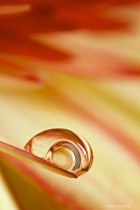 October 2016 Photo Contest 2nd Place Prize Winner