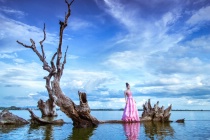 November 2016 Photo Contest 2nd Place Prize Winner